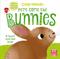 Clap Hands: Here Come the Bunnies: A touch-and-feel board book with a fold-out surprise